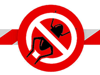 Quarantine pest