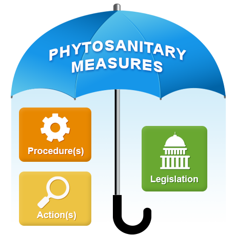 Terms to Know and Understand: Measures
